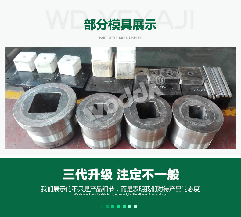 牛羊舔磚(zhuān)液壓機模(mo)具